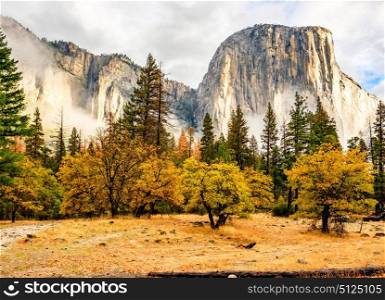 Yosemite National Park Valley at cloudy autumn morning. Low clouds lay in the valley. California, USA.