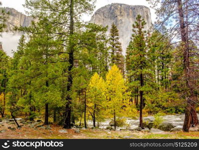 Yosemite National Park Valley at cloudy autumn morning. Low clouds lay in the valley. California, USA.