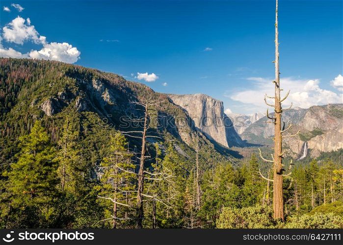 Yosemite National Park Valley summer landscape. California, USA.