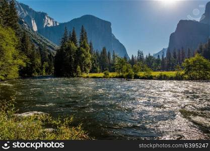 Yosemite National Park Valley summer landscape from Valley View. California, USA.