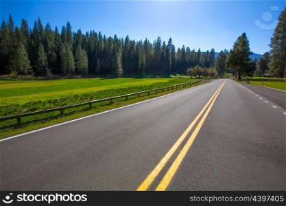 Yosemite Wawona road Route 41 meadows and forest in California