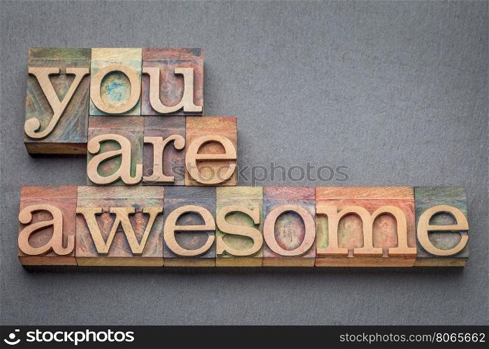 you are awesome word abstract in letterpress wood type blocks against gray slate stone