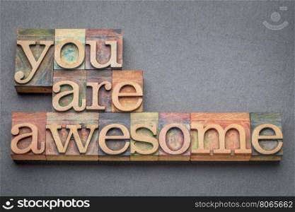 you are awesome word abstract in letterpress wood type blocks against gray slate stone