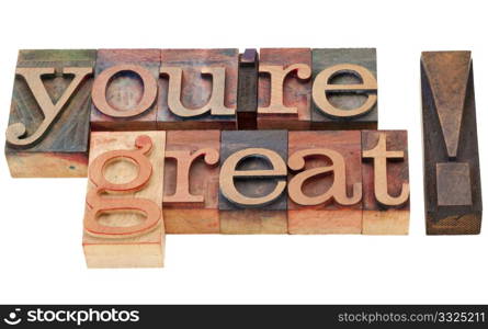 you are great compliment - isolated words in vintage wood letterpress printing blocks