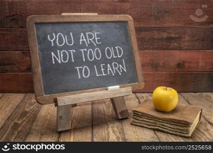 You are not too old too learn - motivational words on a vintage slate blackboard - continuous education concept