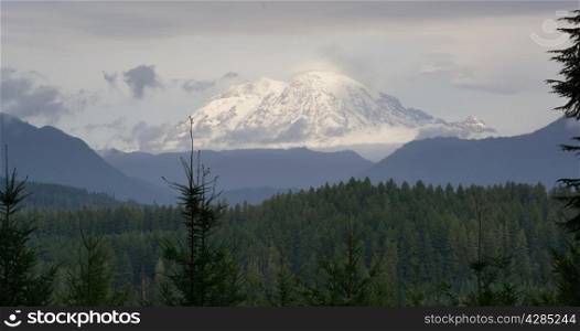 You may have to do some hunting to find this view of Mt Rainier