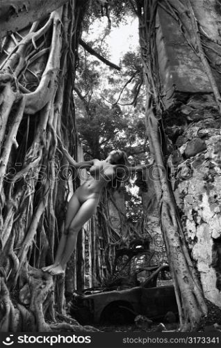 Young adult Caucasian nude woman holding herself up between two banyan trees in Maui.