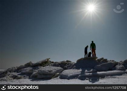 Young adult couple outdoors with dog exploring winter landscape