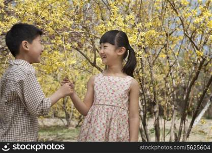 Young and smiling brother and sister showing each other the yellow blossoms in the park in springtime