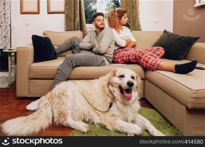 Young angry couple separated on sofa whit their dog using smartphone