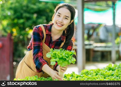 Young Asian girl farmer holding hands for checking fresh green oak lettuce salad, organic hydroponic vegetable in nursery farm. Business and organic hydroponic vegetable concept.