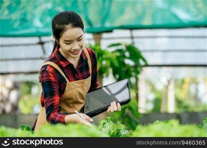 Young Asian girl farmer working with tablet while checking fresh green oak lettuce salad, organic hydroponic vegetable in nursery farm. Business and organic hydroponic vegetable concept.