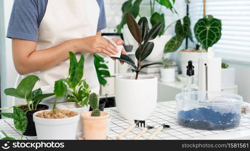 Young Asian woman gardener in casual clothes taking care and squirts for house plant pots on the white wooden table, Concept of home garden and Stylish interior with a lot of plants