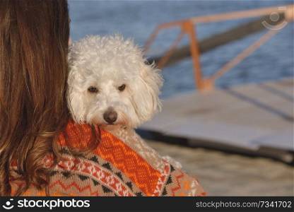 Young attractive girl with her maltese dog at a beach