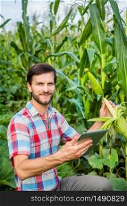 Young attractive man with beard checking corn cobs in field in late summer. Young attractive man with beard checking corn cobs in field