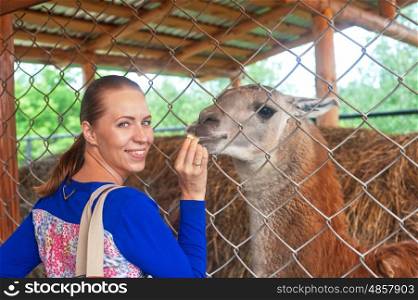 Young attractive woman feeding lama. feeding lama
