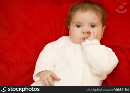 young baby portrait, studio picture