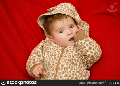 young baby portrait, studio picture