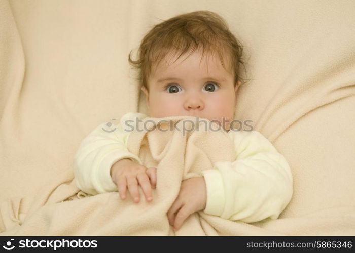 young baby portrait, studio picture