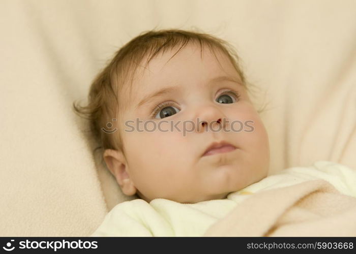 young baby portrait, studio picture