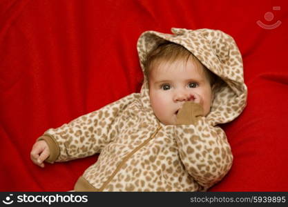 young baby portrait, studio picture