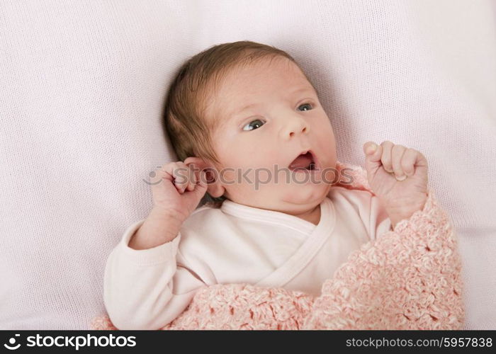 young baby portrait, studio picture