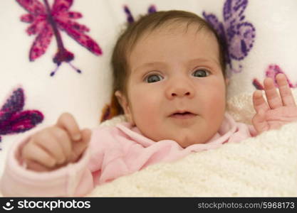 young baby portrait, studio picture