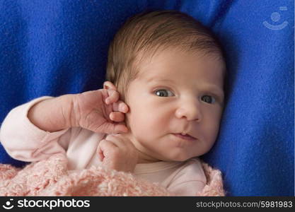 young baby portrait, studio picture