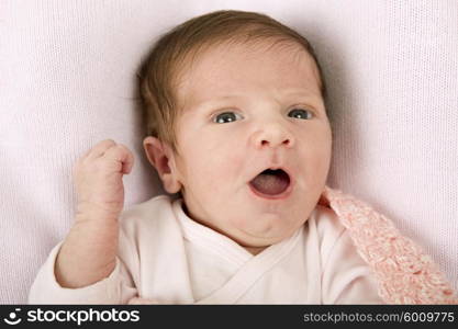 young baby portrait, studio picture