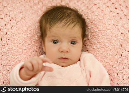 young baby portrait, studio picture