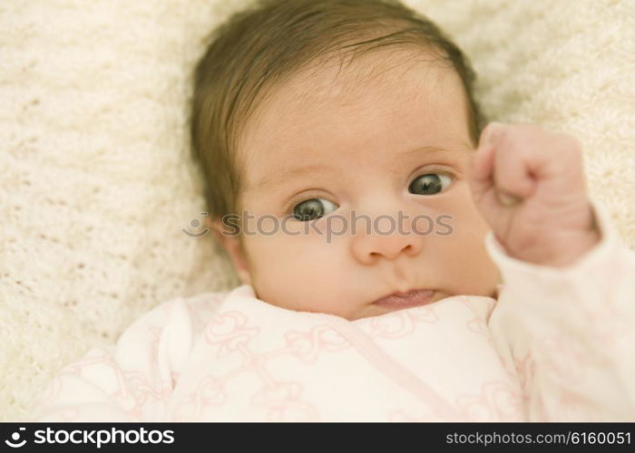 young baby portrait, studio picture