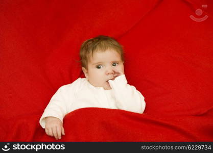 young baby portrait, studio picture