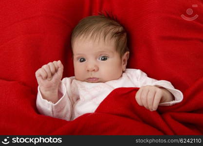 young baby portrait, studio picture