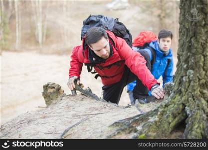 Young backpackers hiking in forest