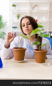 Young beautiful biotechnology chemist working in the lab 