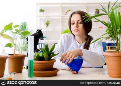 Young beautiful biotechnology chemist working in the lab 