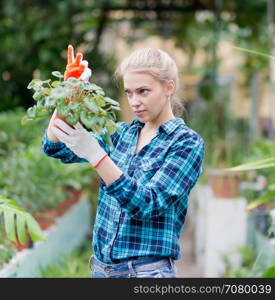 young beautiful female gardener with flower pot in greenhouse