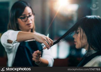 Young beautiful woman getting her hair cut by female hairdresser in beauty salon.. Hairdresser’s Hands Cutting Hair, Beautiful Model