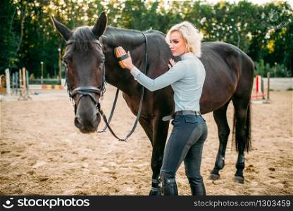 Young blonde woman take caring for the hair of brown horse. Equestrian sport, attractive lady and beautiful stallion. Woman take caring for the hair of brown horse