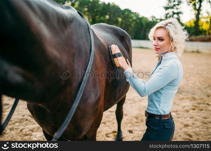 Young blonde woman take caring for the hair of brown horse. Equestrian sport, attractive lady and beautiful stallion. Woman take caring for the hair of brown horse
