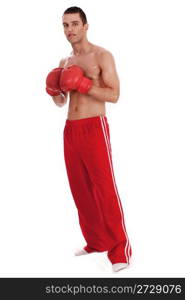 Young Boxer full lenth over white background