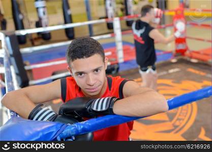 young boxer in the ring