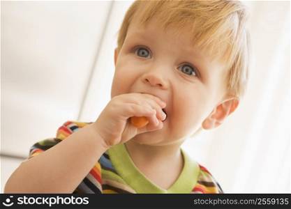 Young boy eating carrot indoors
