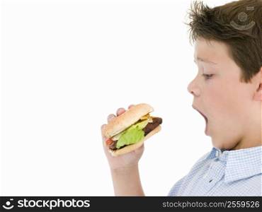 Young boy eating cheeseburger