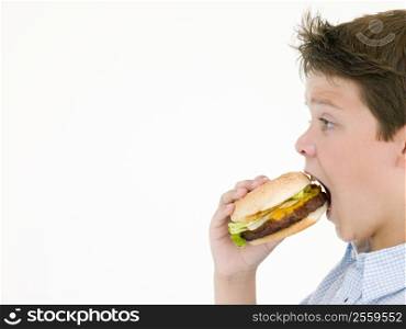Young boy eating cheeseburger
