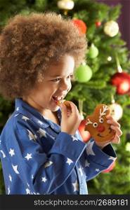Young Boy Eating Cookie In Front Of Christmas Tree