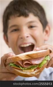 Young boy eating sandwich smiling