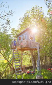 Young boy in tree house