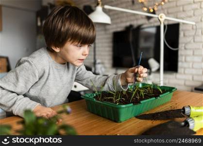young boy looking plants grow home