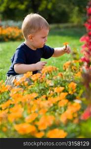 Young boy picking flowers